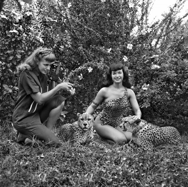 bunny-yeager-bettie-page-cheetahs